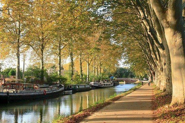 L'histoire de cette ville va vous étonner ! Laissez-moi vous faire visiter Toulouse